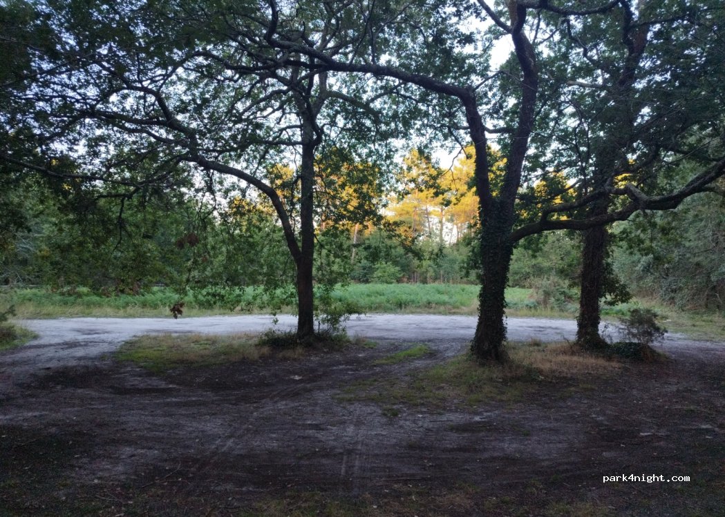 (33470) Gujan-Mestras - D260 — foto 2