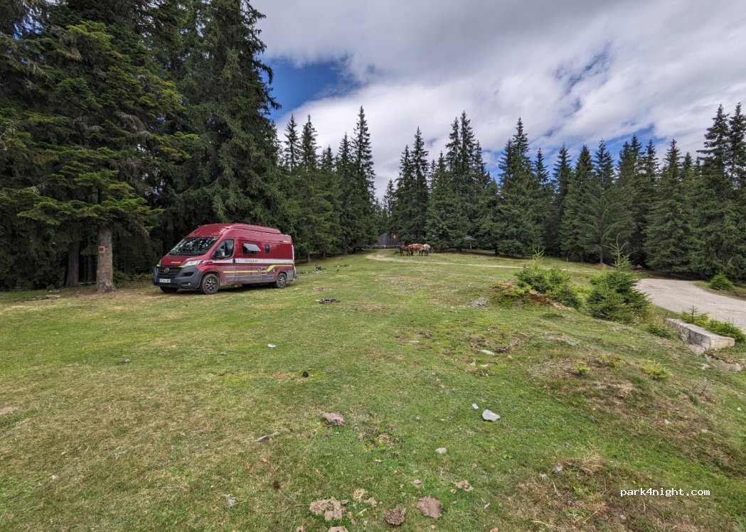 (407390) Mărișel - — foto 2