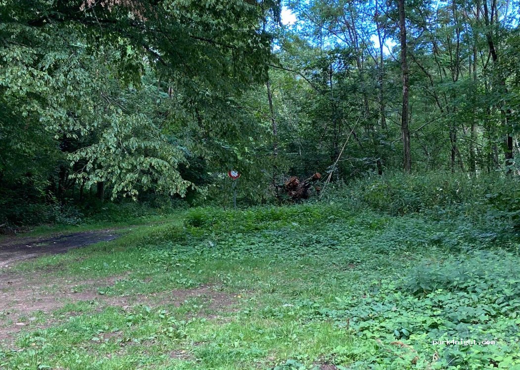 (68700) Steinbach - — foto