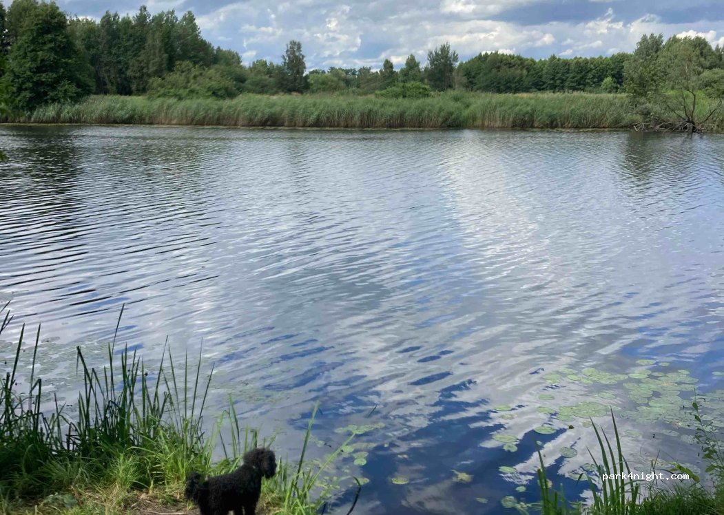 (55) Bystrzyca - — foto