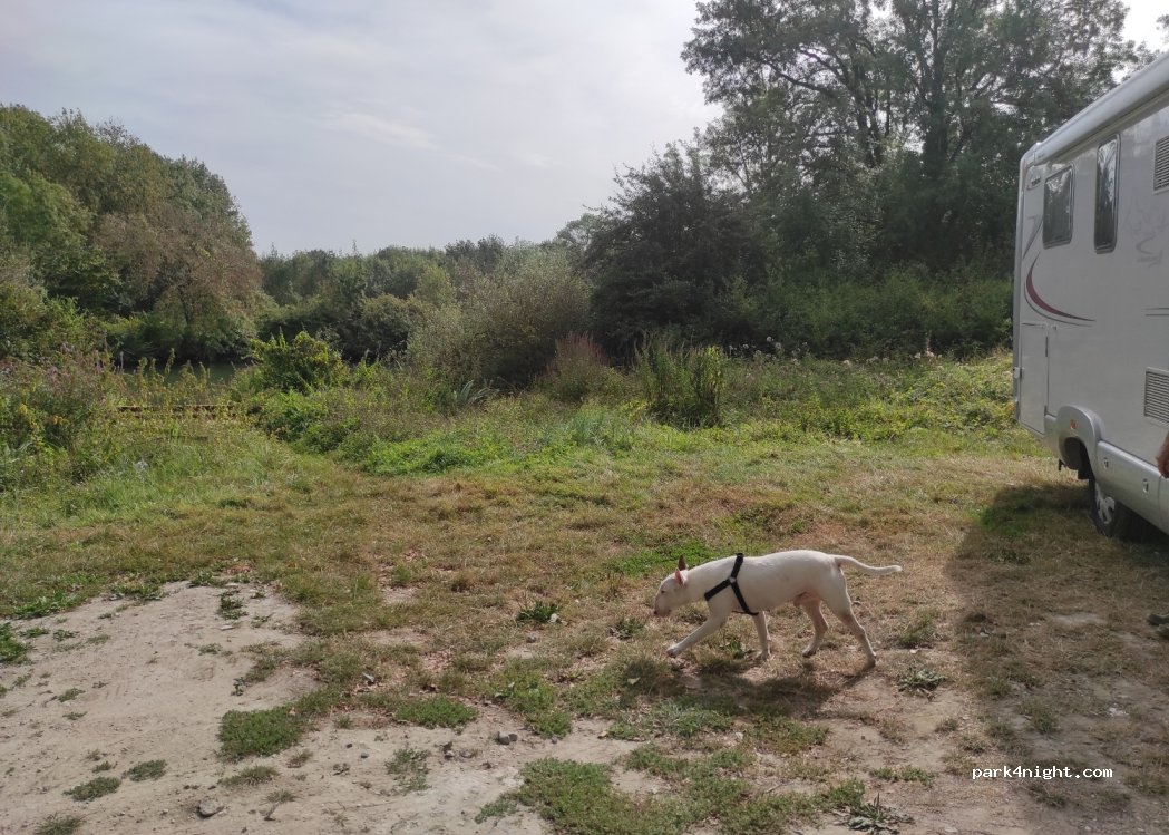 (17100) Saintes - 2 Route des Gonds — foto 3