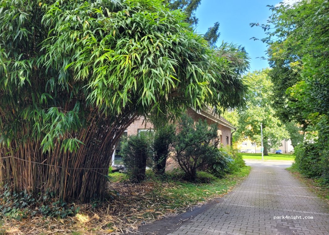 (45889) Gelsenkirchen - 90 Erdbrüggenstraße — foto 5