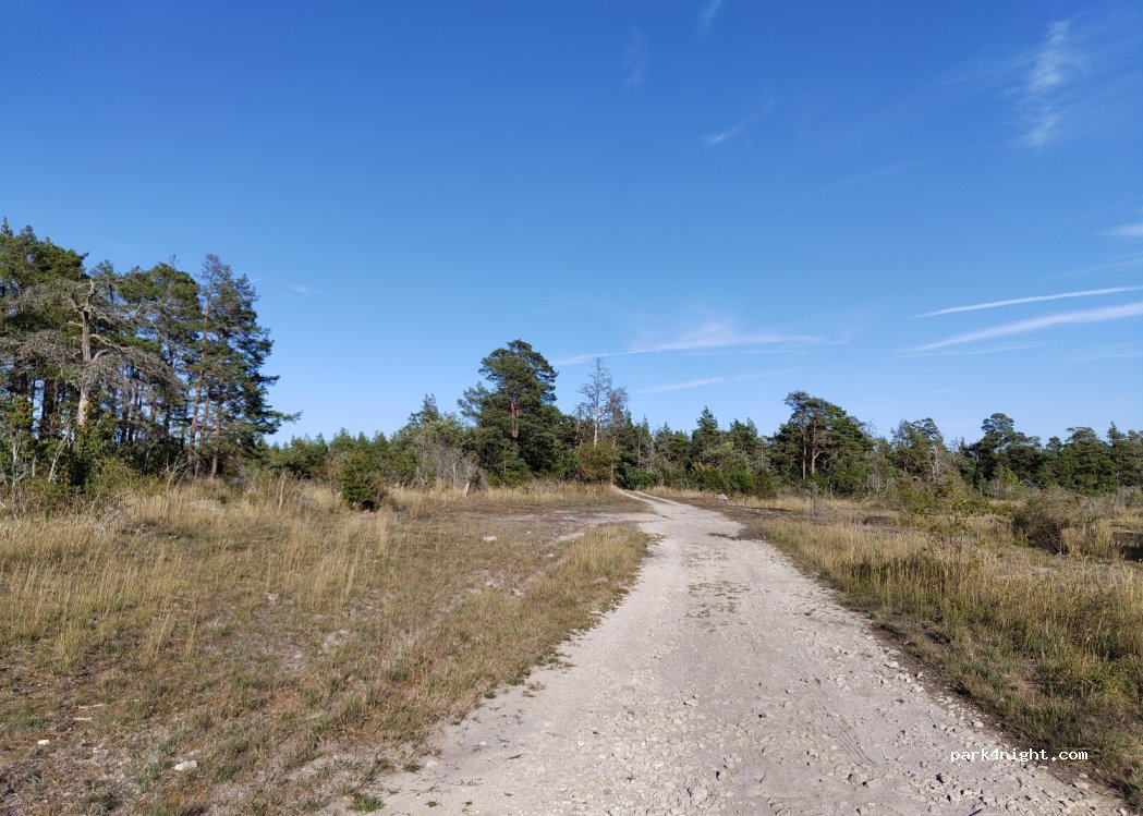 (624 50) Lärbro - Unnamed Road — foto