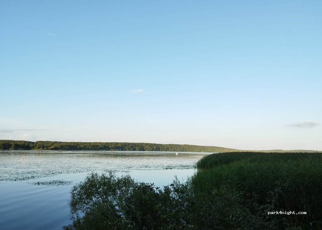 (53194) Viršužiglis - — foto