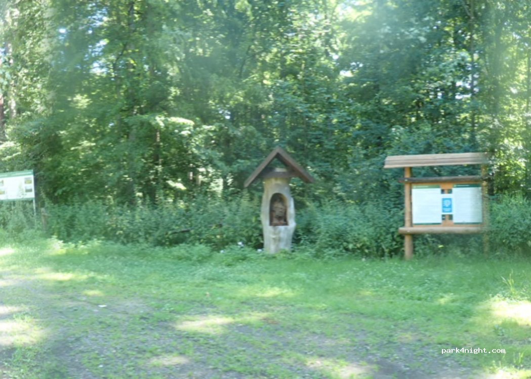 (48-340) Markowice - Rezerwat przyrody Przyłęk — foto