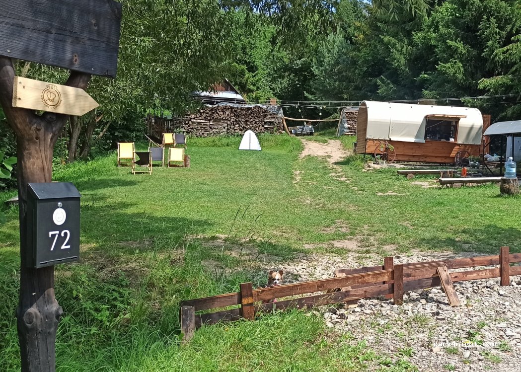 Przystanek Wapienne — foto
