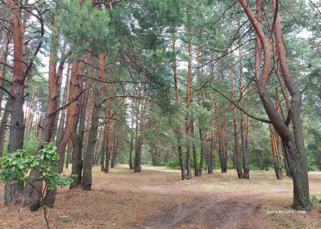 Kemping Glinki — foto 2