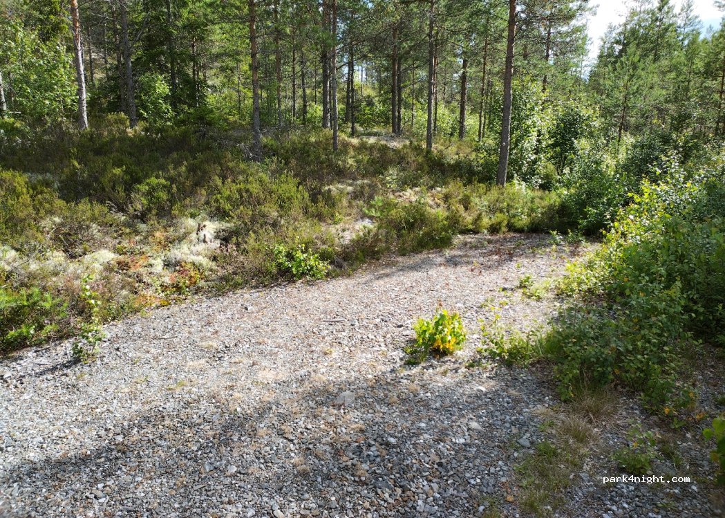 (1870) Ørje - Unnamed Road — foto