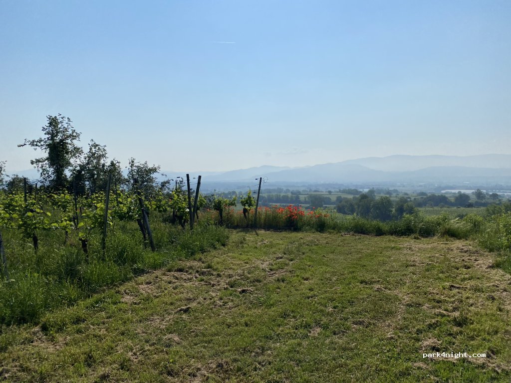 Weingut Kuhn — foto 4