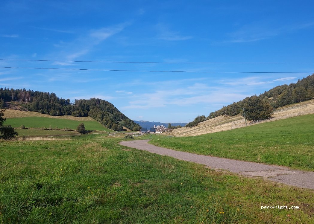 (88560) Saint-Maurice-sur-Moselle - Route Forestière du Rouge Gazon — foto