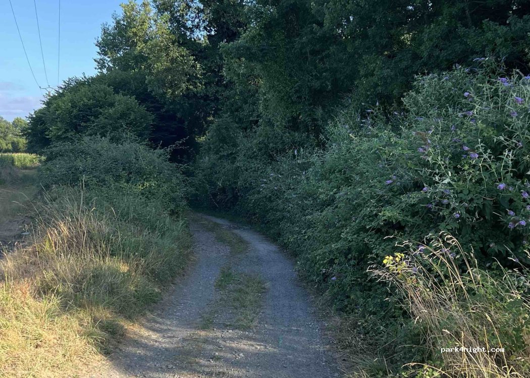 (64170) Labastide-Cézéracq - — foto 4