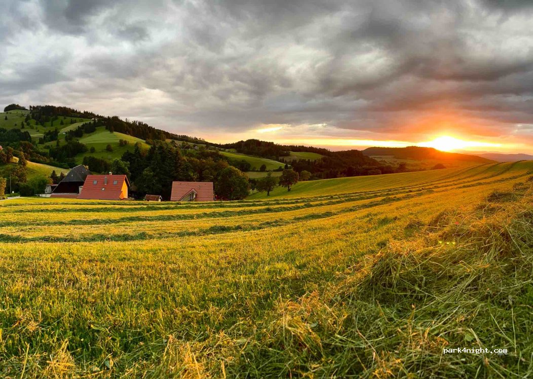 (79289) Horben - Steinmühlenweg — foto 2