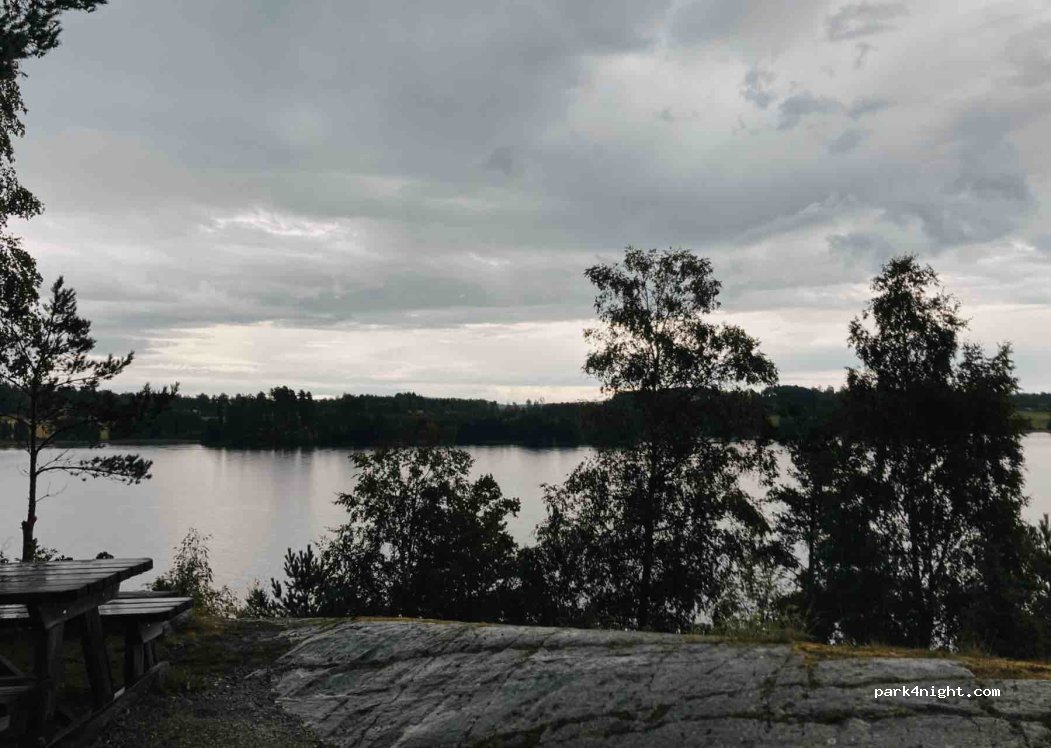 (666 91) Årbol - Unnamed Road — foto