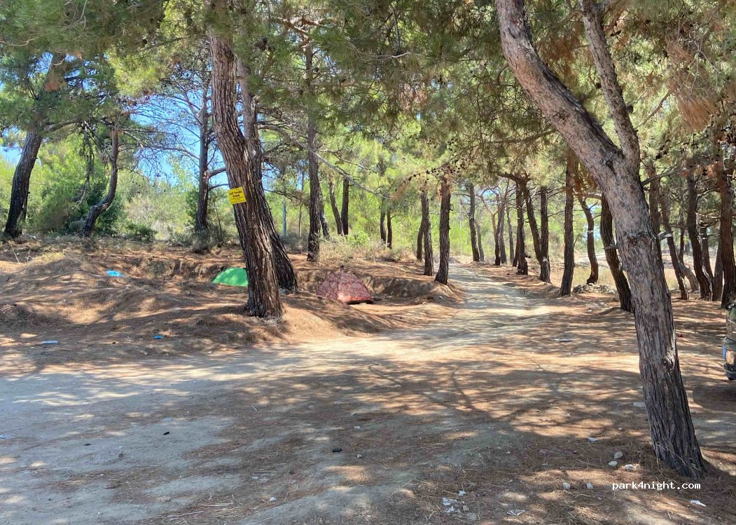 (17600) Tavaklı - — foto 2
