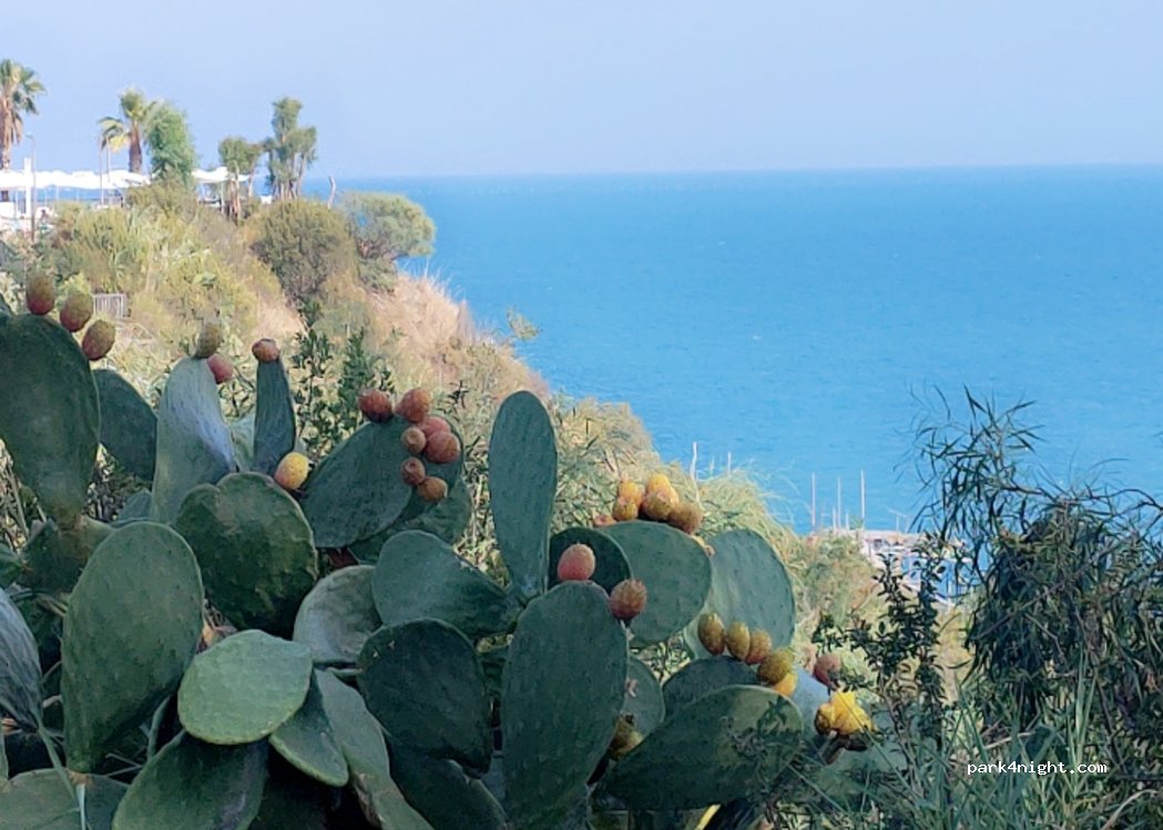 Camping Grotta del Saraceno — foto 3