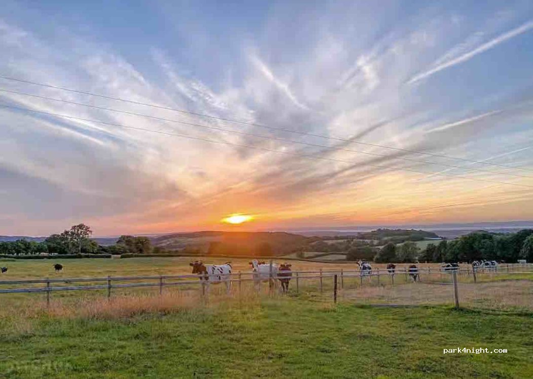 Swallow Barn Farm Camping — foto 2