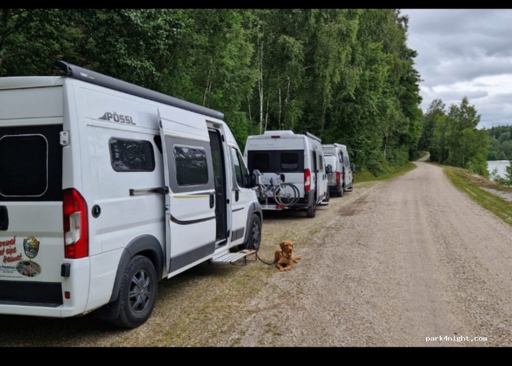 (662 95) Ånimskog - Unnamed Road — foto