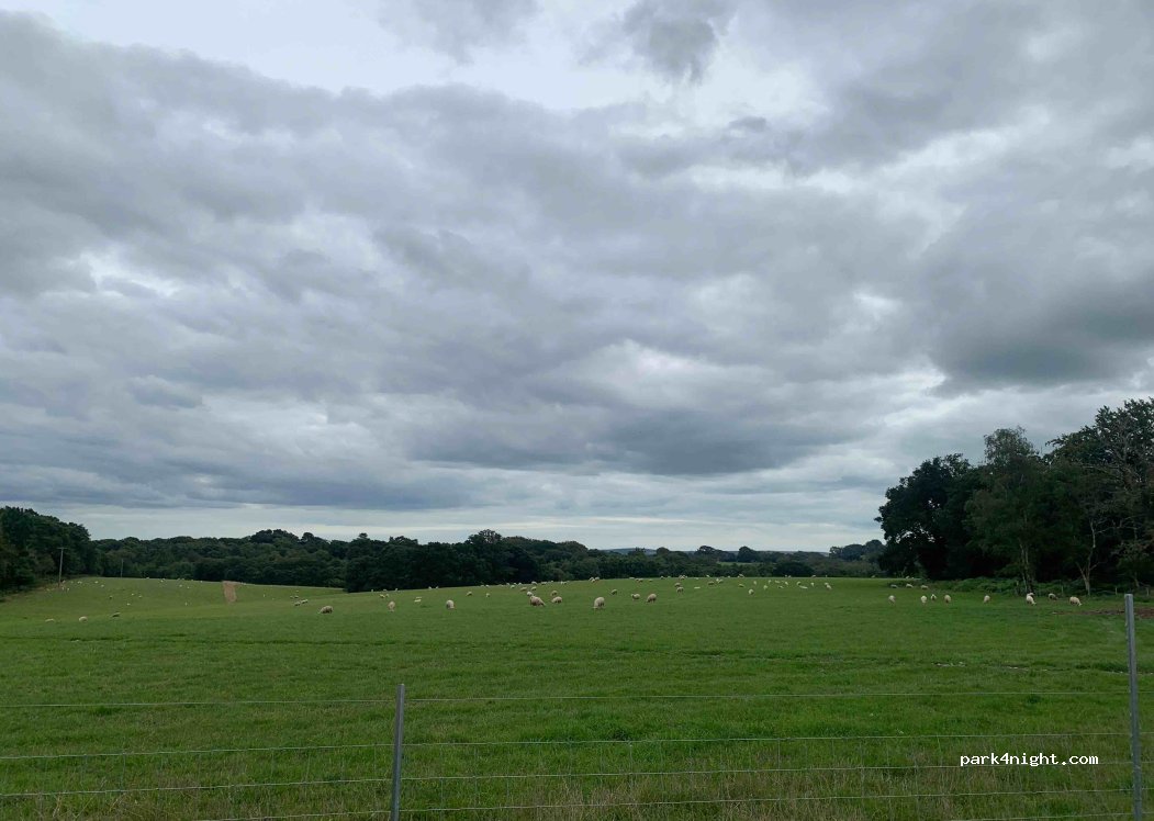 Teddy’s Farm camping — foto
