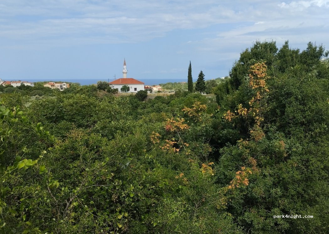 (25M8+3F) Pečurice - — foto