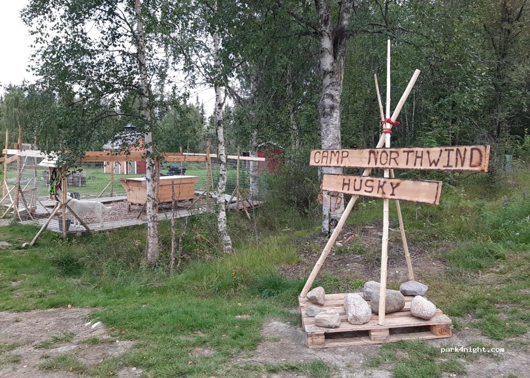 Camp-Northwind Husky — foto