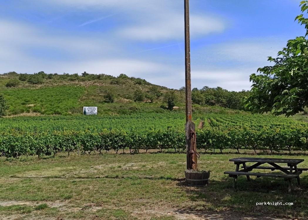 Domaine des Coteaux Blancs — foto