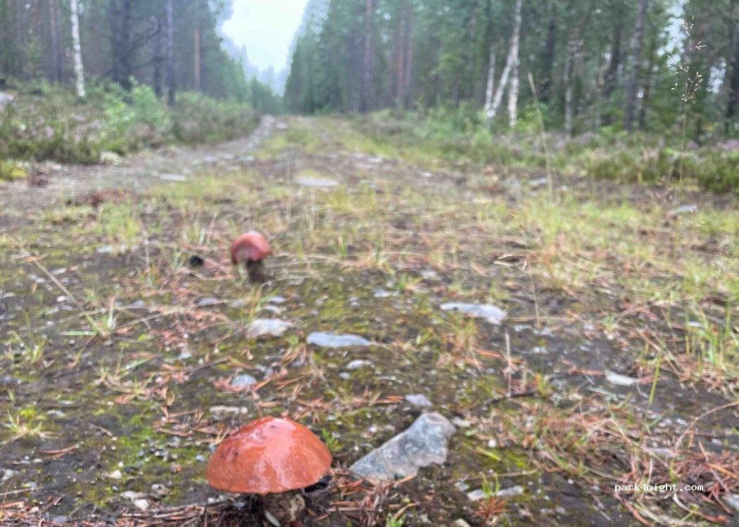 (840 92) Vemdalen - — foto