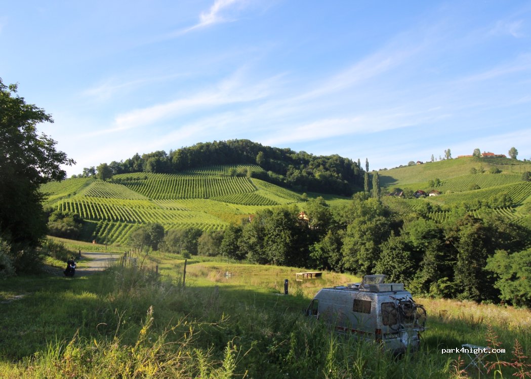Winež wild culture - vino in kamp; wine and naturecamping — foto