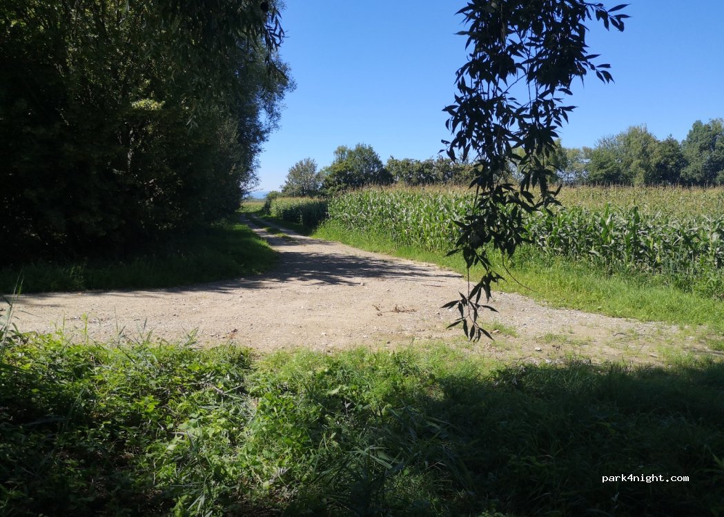 (67230) Diebolsheim - — foto 2