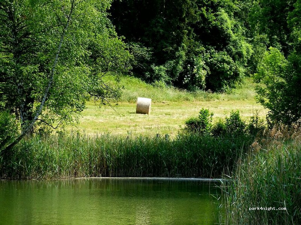 (57680) Gorze - 1 Chemin de Vandelainville — foto