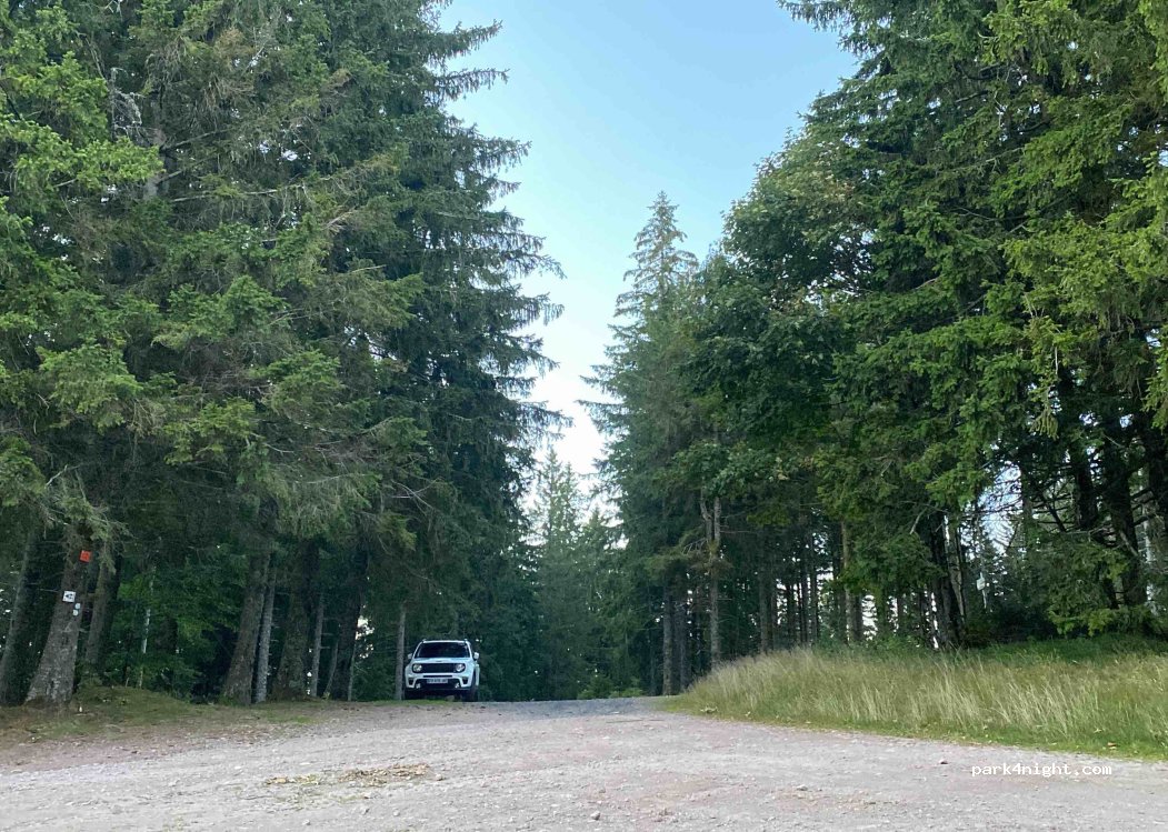 (88400) Gérardmer - 24 Chemin de Derrière le Haut — foto