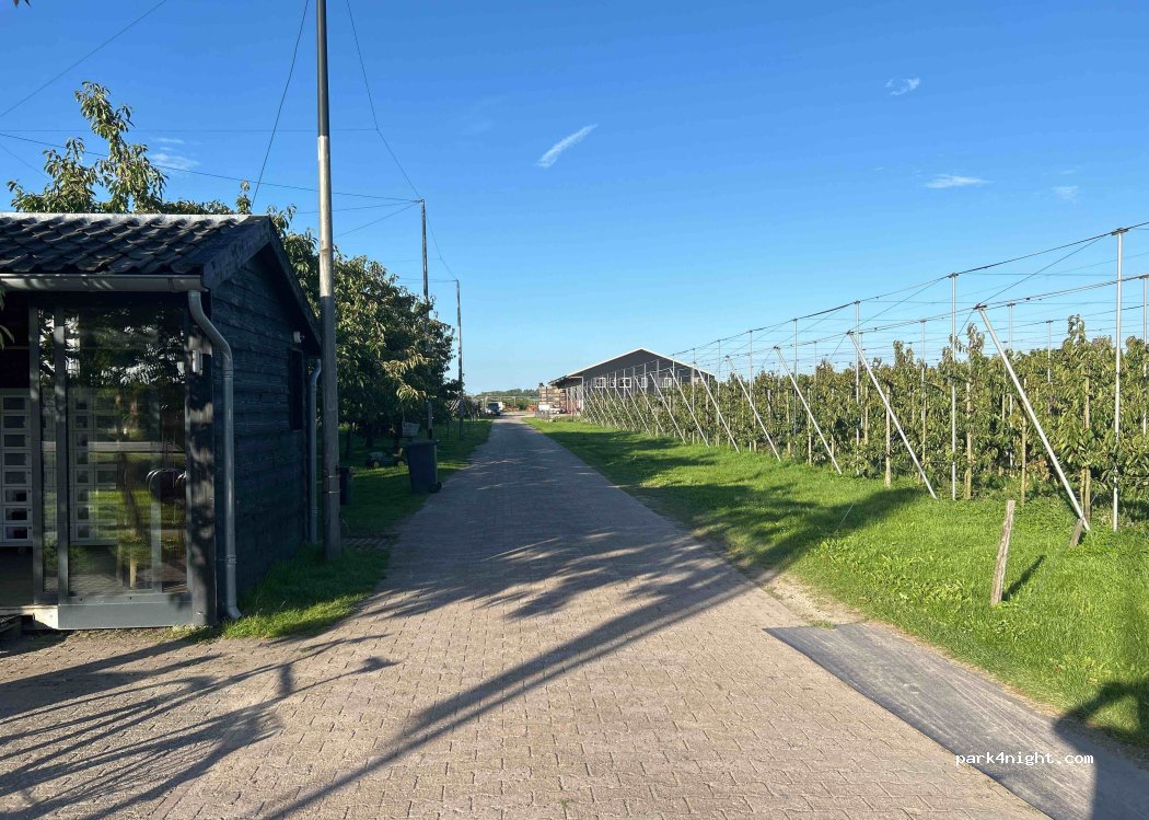 Camperplaats de Kersenpit — foto 4