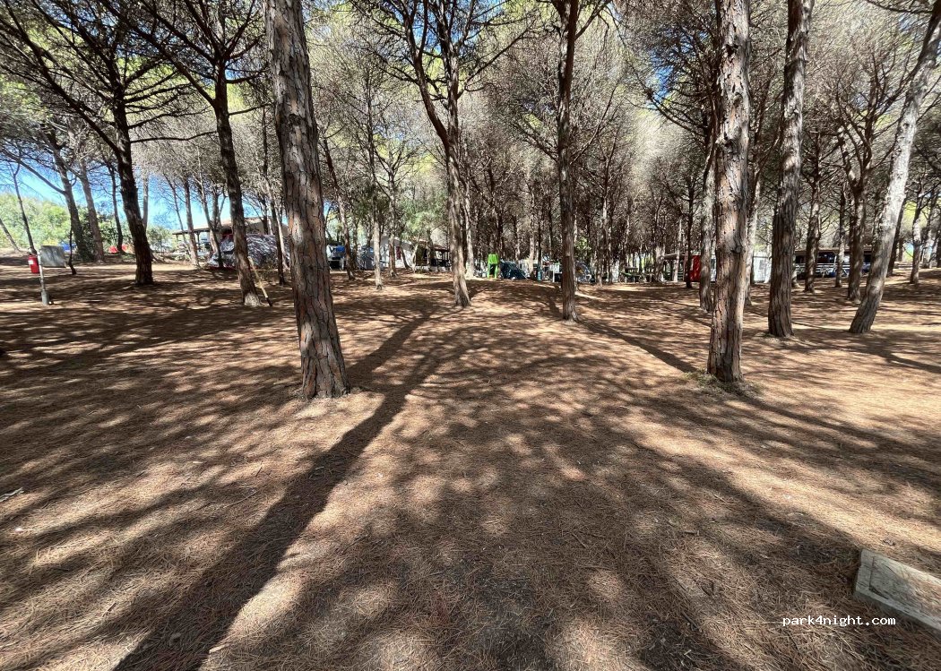 Bella Sardina — foto 5