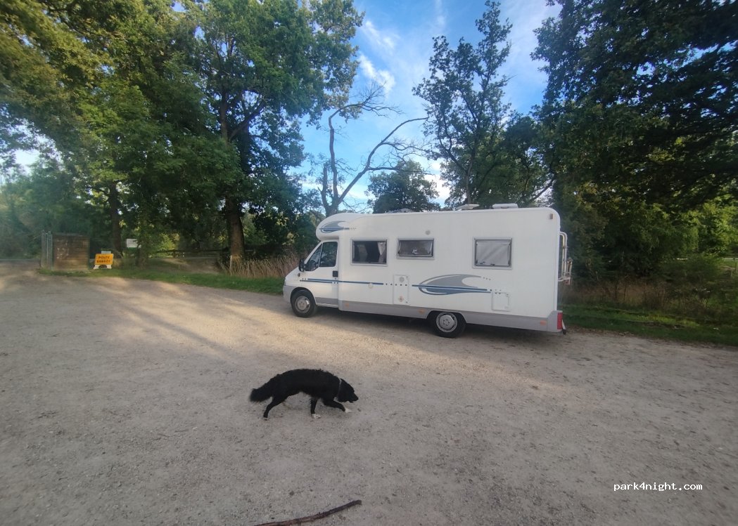 (35340) La Bouëxière - 25 Chevré — foto
