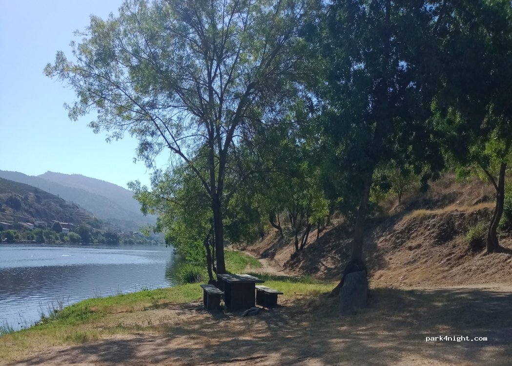 (5130) Soutelo do Douro - — foto 3