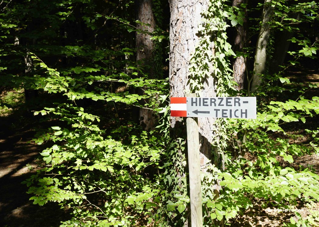 Weinstadl Olarizi — foto