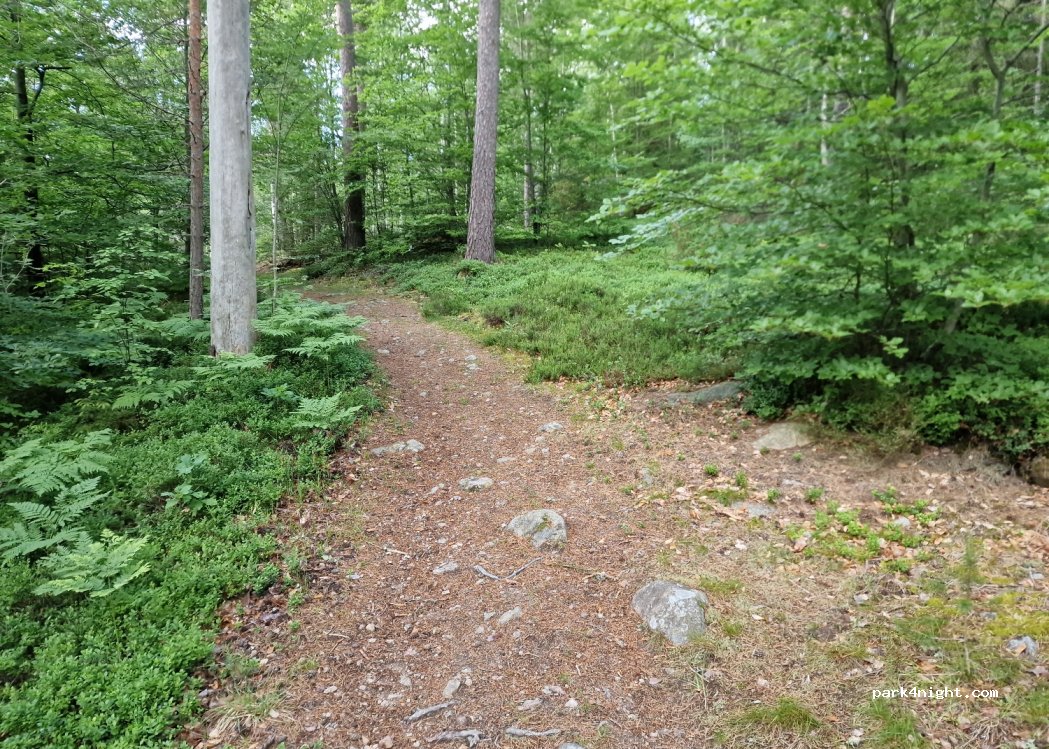 (355 92) Växjö - 1 Bröllopsbacken — foto 4