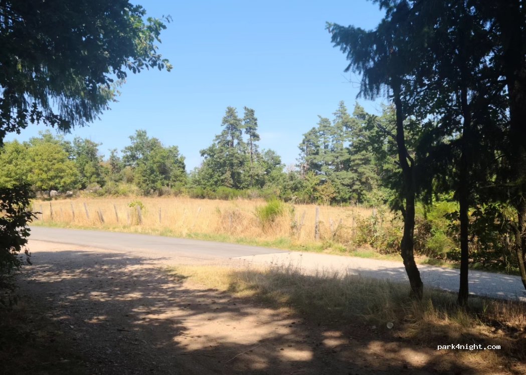 (43330) Saint-Ferréol-d'Auroure - — foto