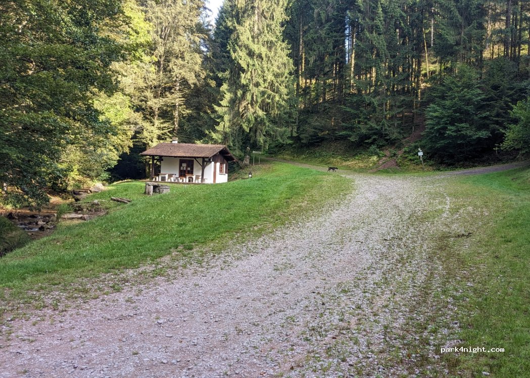 (88220) Xertigny - — foto