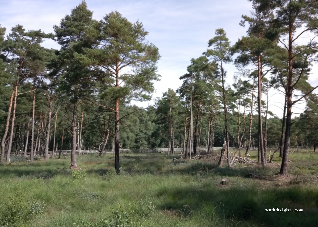 (30900) Wedemark - 37 Osterbergstraße — foto