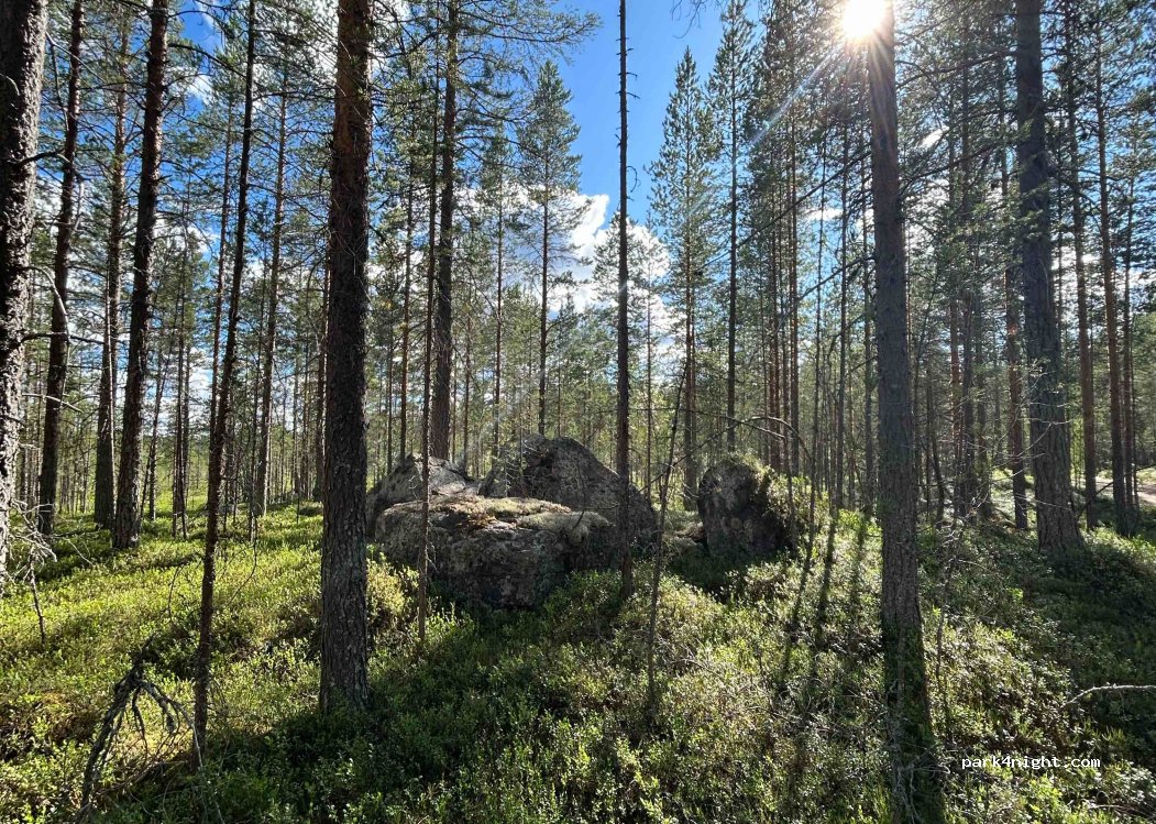 (780 69) Sörsjön - — foto 4