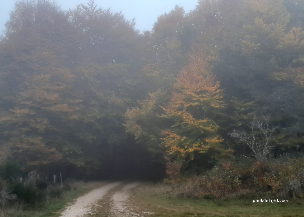(43170) Saugues - — foto 4