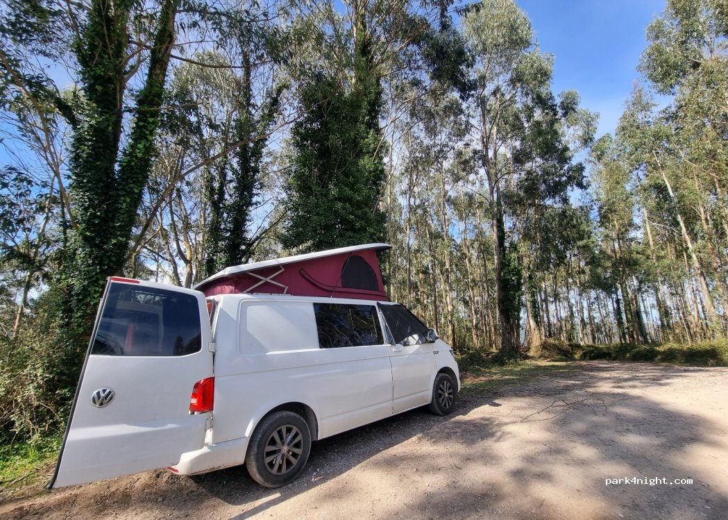 (39788) Ranero - — foto 3