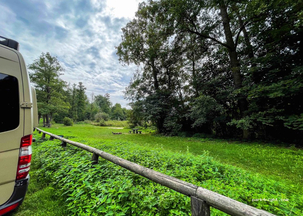 (62-060) Rybojedzko - 22 Leśna — foto