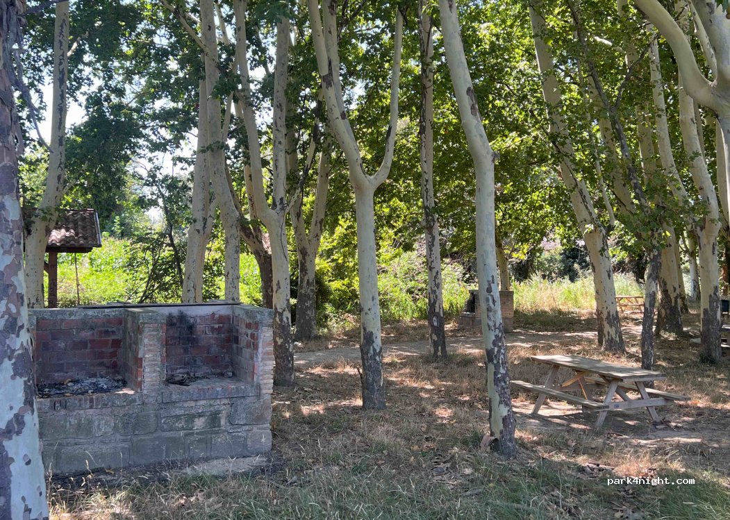 (31390) Olite - 2014 Diseminado Diseminados — foto
