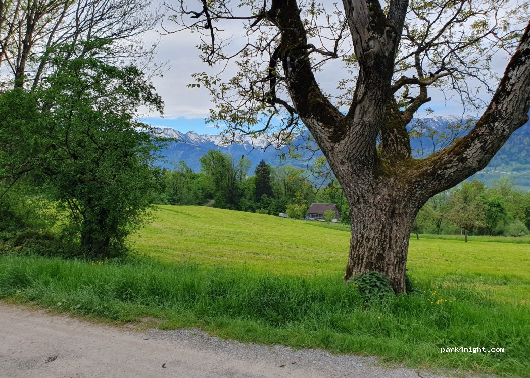 (6822) Satteins - Bünt — foto 2