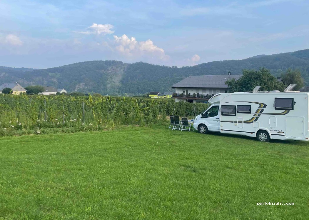 Ferienweingut Wolfgang Adamy — foto 2