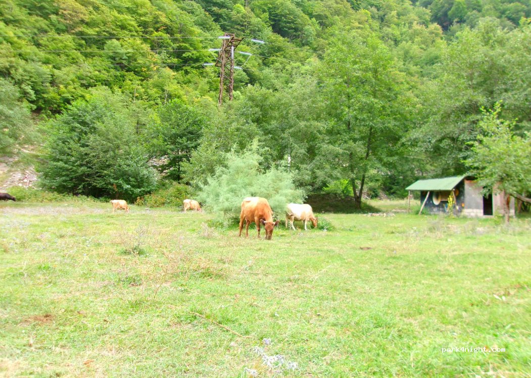 (0159) Khiliana - — foto 4