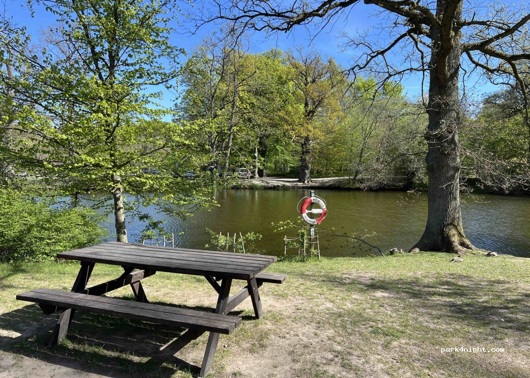 (233 64) Bara - 606-59 Torupsvägen — foto 2
