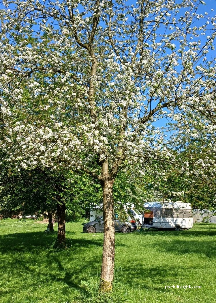 (32694) Dörentrup - Homeien 10 — foto 3