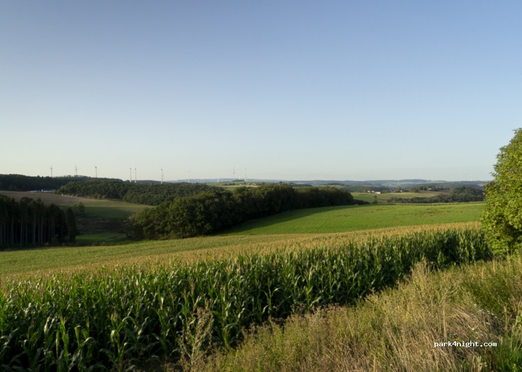 (54649) Lauperath - Scheuerbaum 2 — foto 2